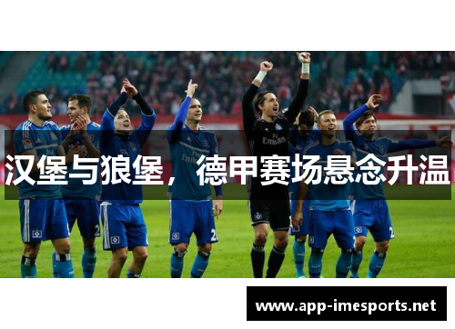 汉堡与狼堡，德甲赛场悬念升温